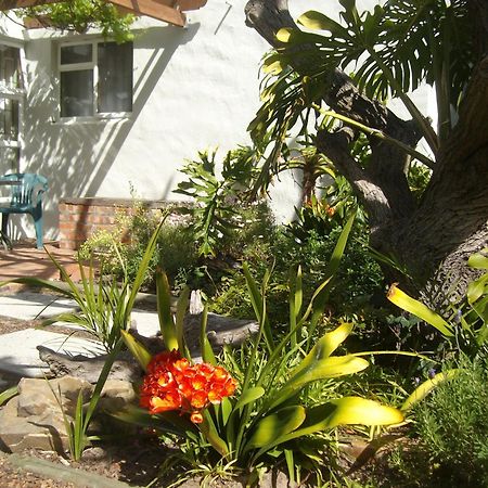 Be My Guest Lodge Bloubergstrand Chambre photo