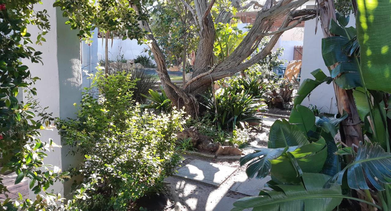 Be My Guest Lodge Bloubergstrand Extérieur photo