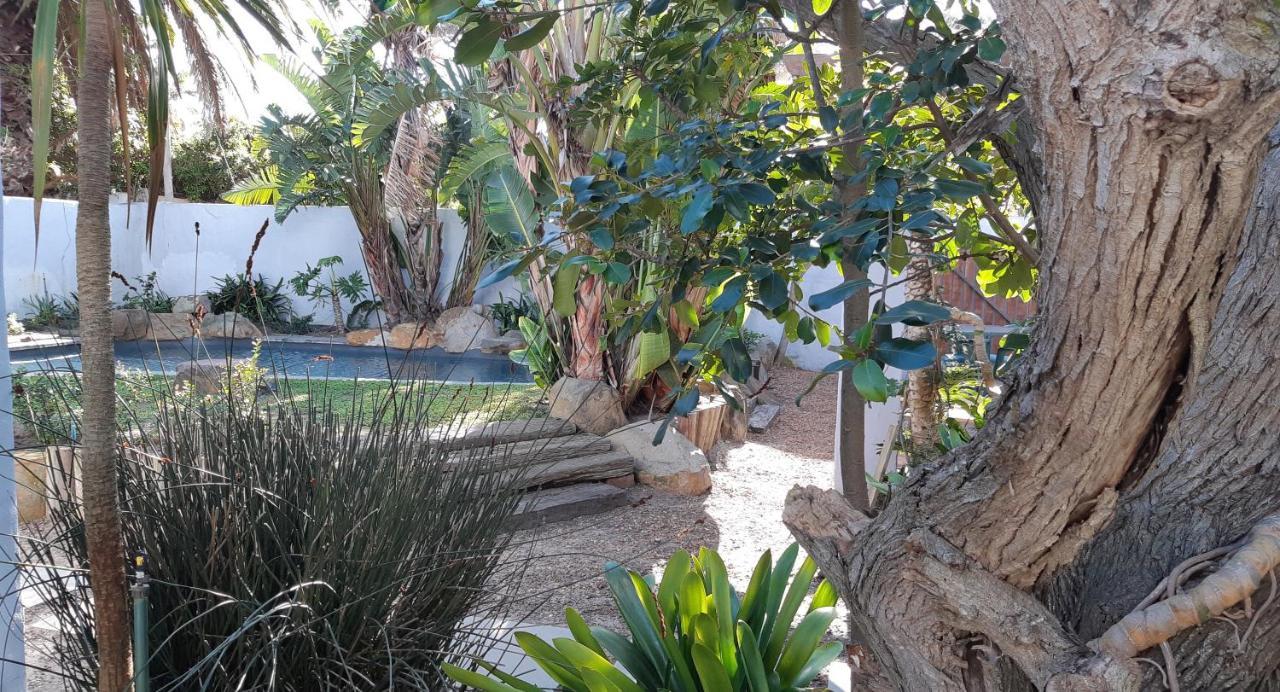 Be My Guest Lodge Bloubergstrand Extérieur photo